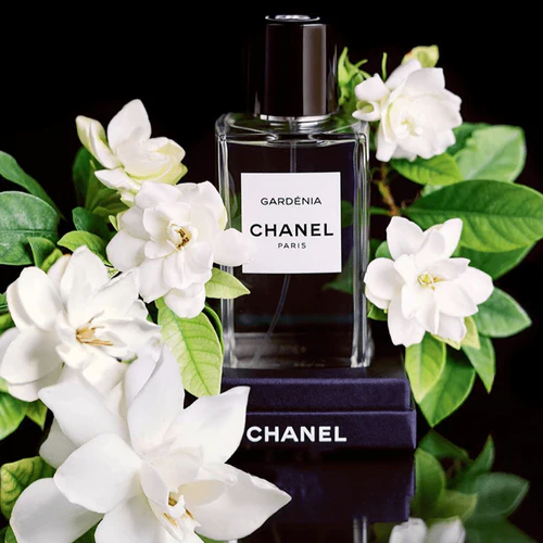Chanel Gardénia